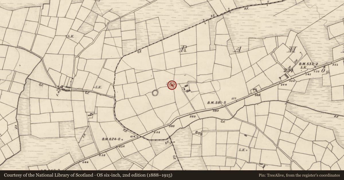 Ordnance Survey six-inch map, 2nd edition (1888–1915) covering the location of Kiln - lime, Raheen, County Kerry, with a pin at the register's coordinates