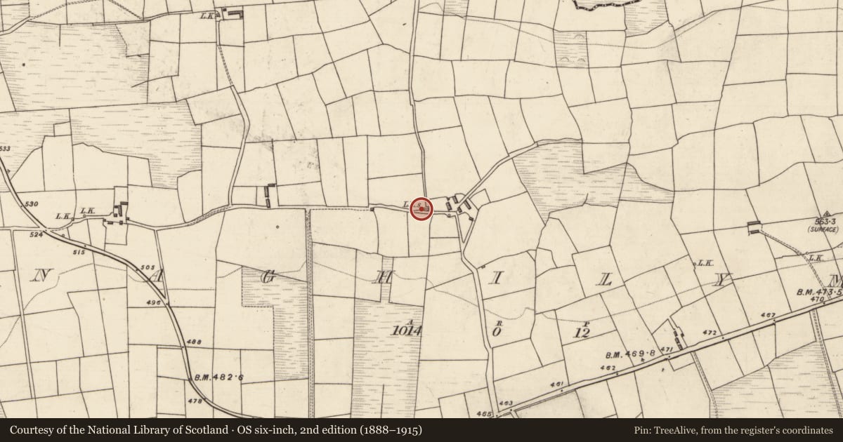 Ordnance Survey six-inch map, 2nd edition (1888–1915) covering the location of Kiln - lime, Annaghily More, County Kerry, with a pin at the register's coordinates