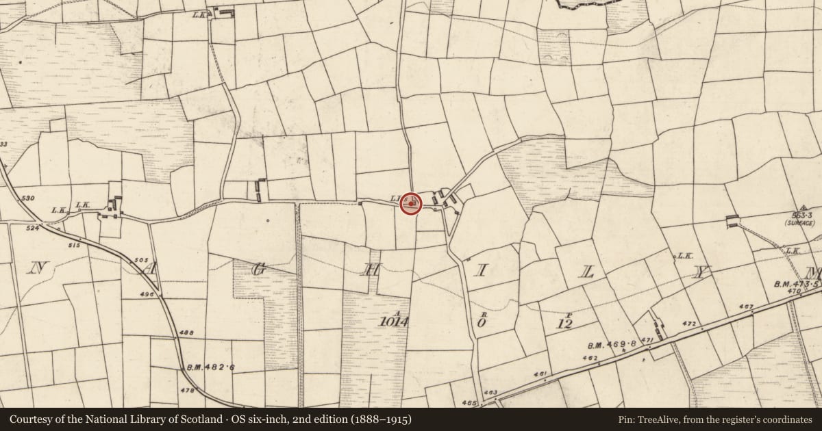 Ordnance Survey six-inch map, 2nd edition (1888–1915) covering the location of Kiln - lime, Annaghily More, County Kerry, with a pin at the register's coordinates