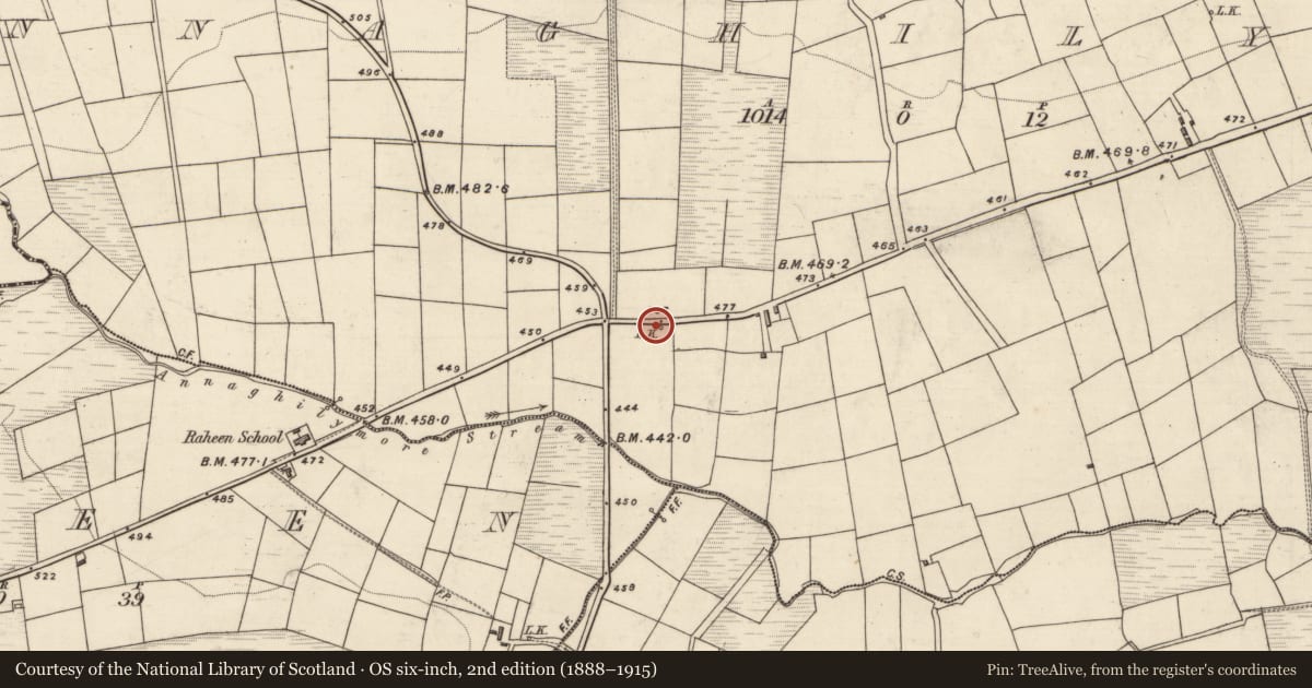 Ordnance Survey six-inch map, 2nd edition (1888–1915) covering the location of Kiln - lime, Annaghily More, County Kerry, with a pin at the register's coordinates