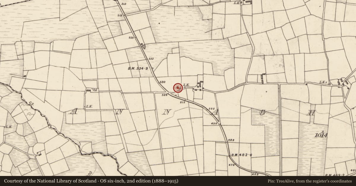 Ordnance Survey six-inch map, 2nd edition (1888–1915) covering the location of Kiln - lime, Annaghily More, County Kerry, with a pin at the register's coordinates