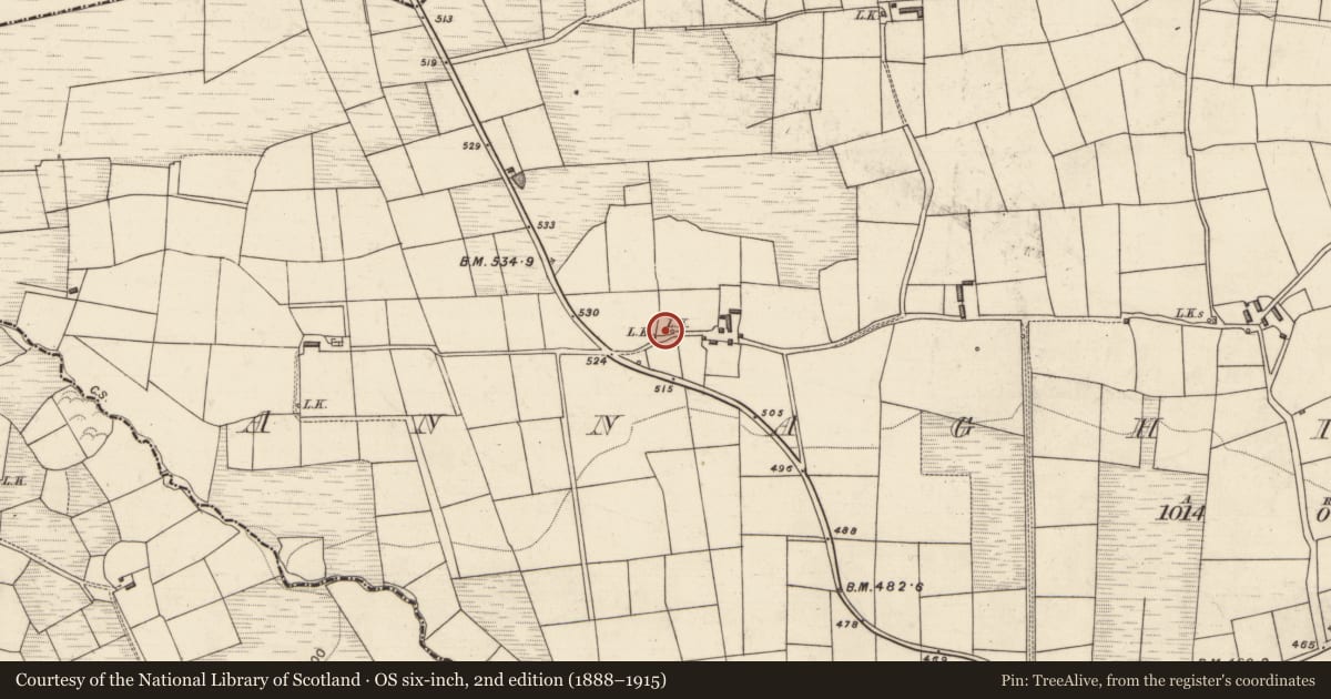 Ordnance Survey six-inch map, 2nd edition (1888–1915) covering the location of Kiln - lime, Annaghily More, County Kerry, with a pin at the register's coordinates
