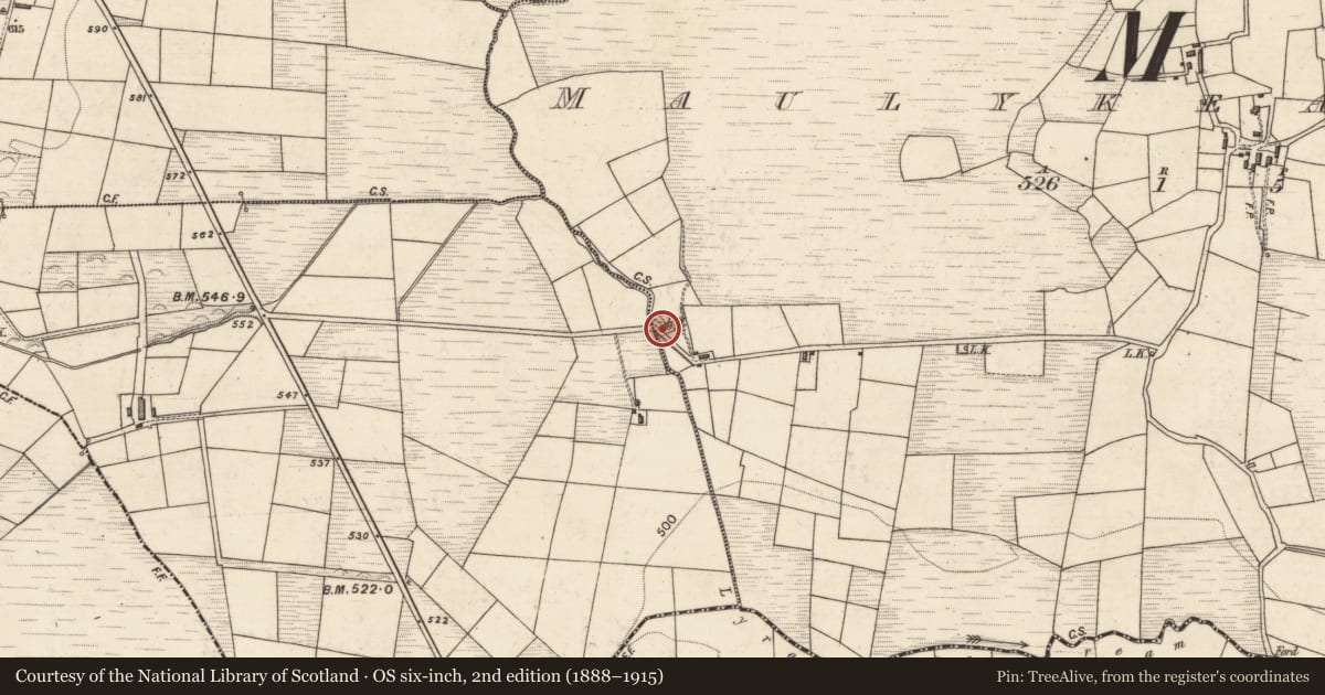 Ordnance Survey six-inch map, 2nd edition (1888–1915) covering the location of Kiln - lime, Maulykeavane, County Kerry, with a pin at the register's coordinates