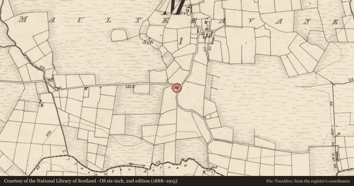Ordnance Survey six-inch map, 2nd edition (1888–1915) covering the location of Kiln - lime, Maulykeavane, County Kerry, with a pin at the register's coordinates