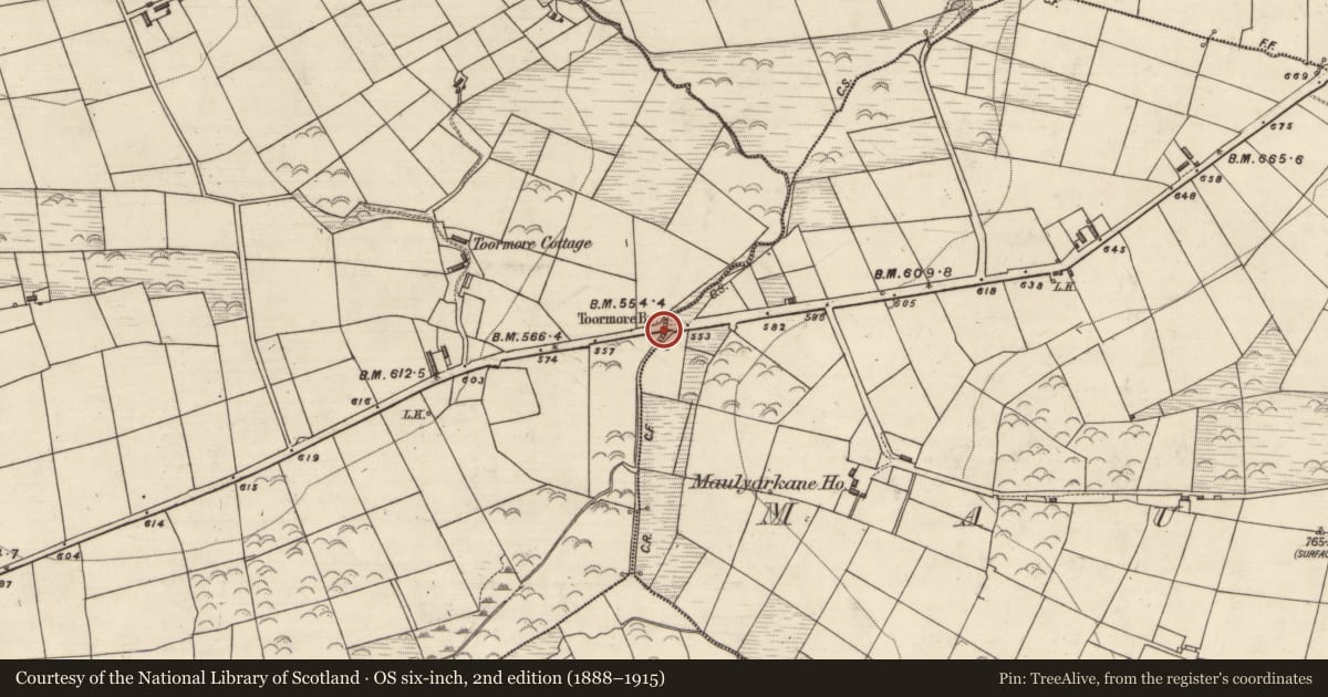 Ordnance Survey six-inch map, 2nd edition (1888–1915) covering the location of Bridge, Maulyarkane, County Kerry, with a pin at the register's coordinates