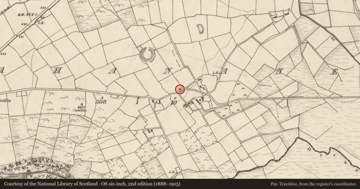 Ordnance Survey six-inch map, 2nd edition (1888–1915) covering the location of Kiln - lime, Rahanane, County Kerry, with a pin at the register's coordinates
