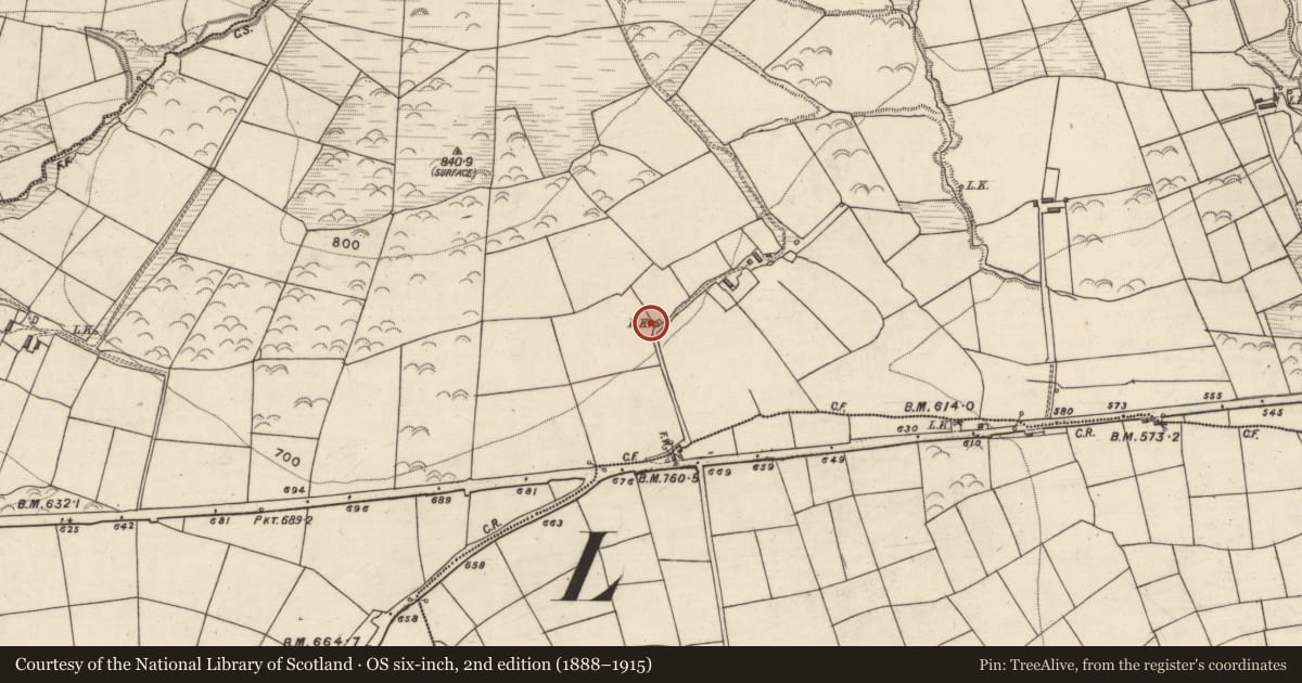 Ordnance Survey six-inch map, 2nd edition (1888–1915) covering the location of Kiln - lime, Knockataggle More, County Kerry, with a pin at the register's coordinates