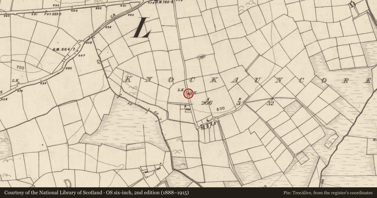 Ordnance Survey six-inch map, 2nd edition (1888–1915) covering the location of Kiln - lime, Knockauncore, County Kerry, with a pin at the register's coordinates