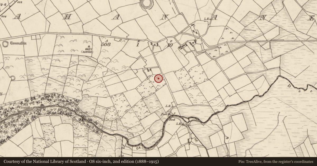 Ordnance Survey six-inch map, 2nd edition (1888–1915) covering the location of Kiln - lime, Rahanane, County Kerry, with a pin at the register's coordinates