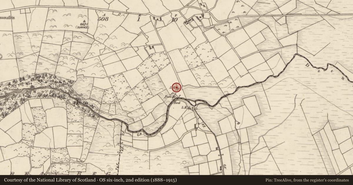 Ordnance Survey six-inch map, 2nd edition (1888–1915) covering the location of Kiln - lime, Rahanane, County Kerry, with a pin at the register's coordinates