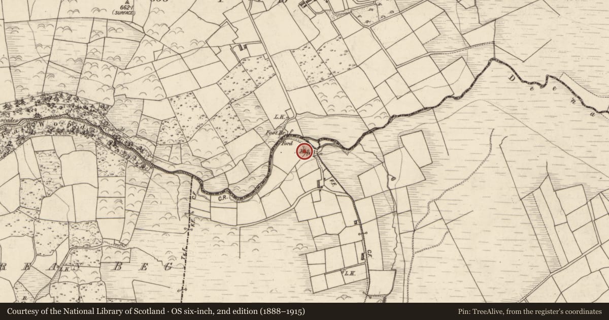 Ordnance Survey six-inch map, 2nd edition (1888–1915) covering the location of Kiln - lime, Kilbrean More, County Kerry, with a pin at the register's coordinates