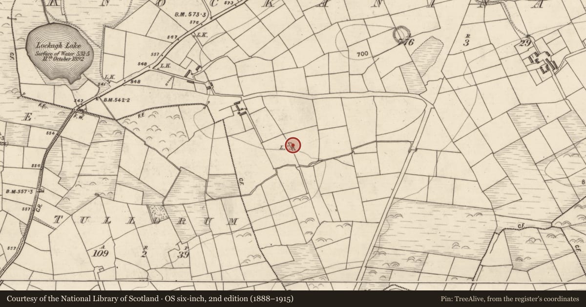 Ordnance Survey six-inch map, 2nd edition (1888–1915) covering the location of Kiln - lime, Knockaninane West, County Kerry, with a pin at the register's coordinates