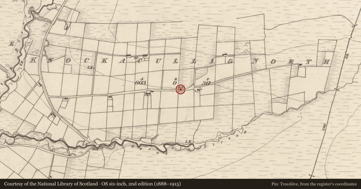Ordnance Survey six-inch map, 2nd edition (1888–1915) covering the location of Kiln - lime, Knockacullig North, County Kerry, with a pin at the register's coordinates