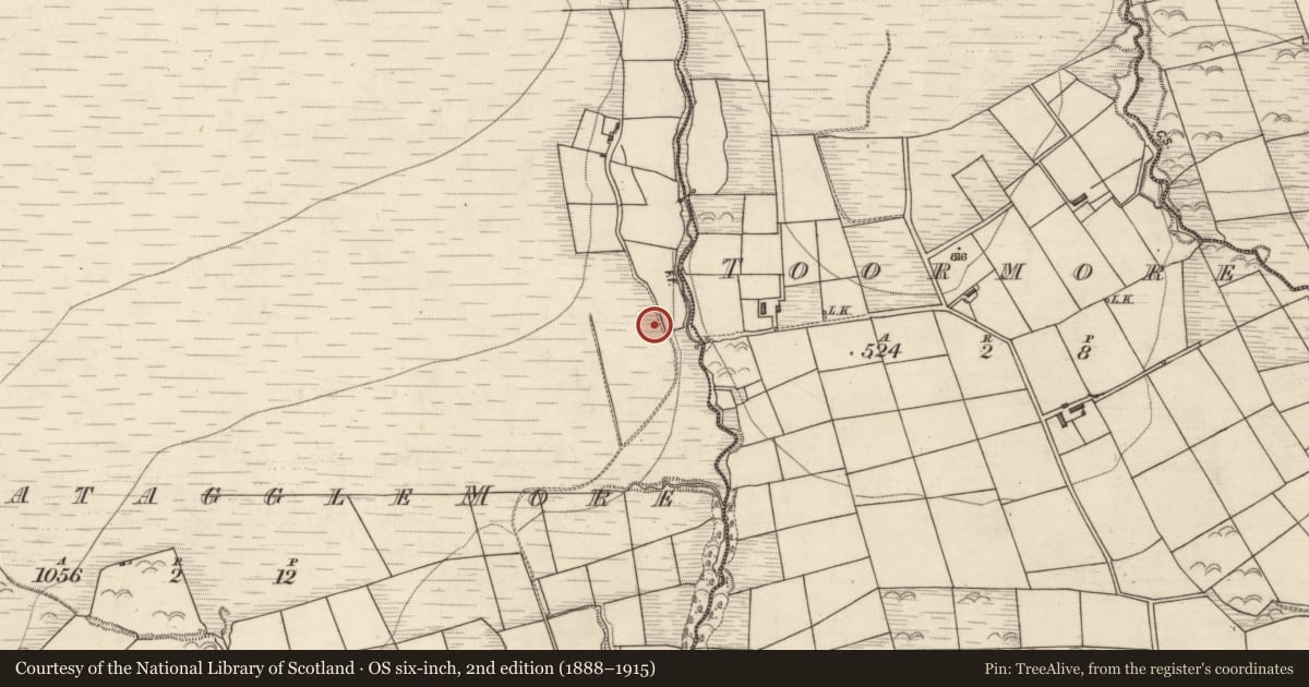 Ordnance Survey six-inch map, 2nd edition (1888–1915) covering the location of Kiln - lime, Knockataggle More, County Kerry, with a pin at the register's coordinates