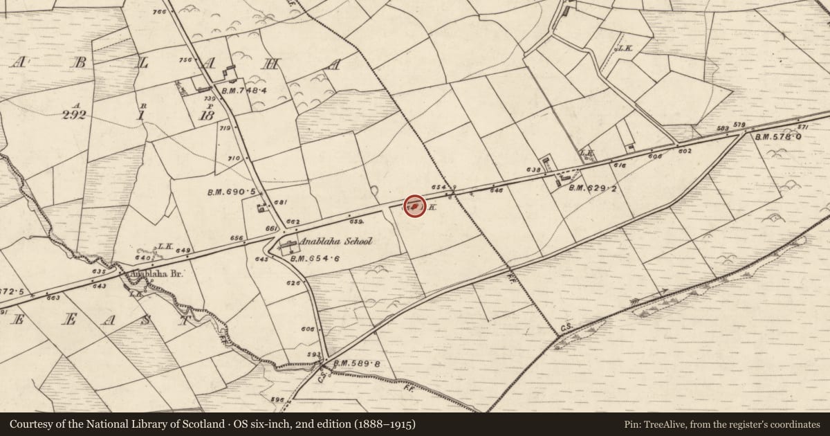 Ordnance Survey six-inch map, 2nd edition (1888–1915) covering the location of Kiln - lime, Anablaha, County Kerry, with a pin at the register's coordinates
