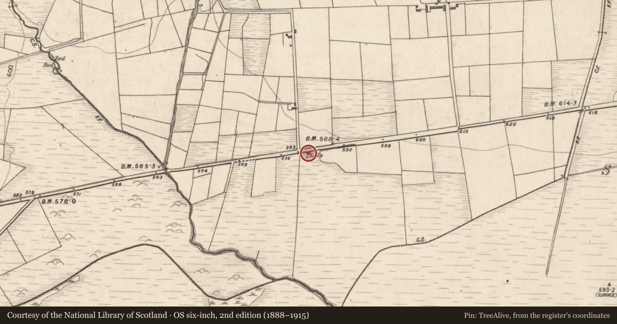 Ordnance Survey six-inch map, 2nd edition (1888–1915) covering the location of Kiln - lime, Toornanaunagh, County Kerry, with a pin at the register's coordinates