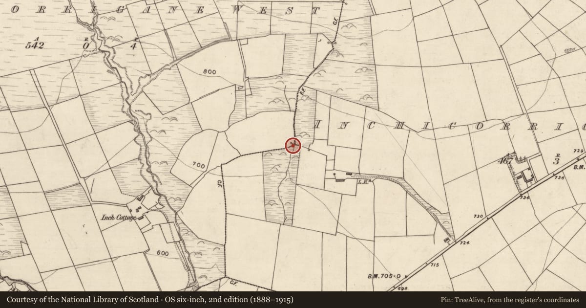 Ordnance Survey six-inch map, 2nd edition (1888–1915) covering the location of Fulacht fia, Inchicorrigane East, County Kerry, with a pin at the register's coordinates