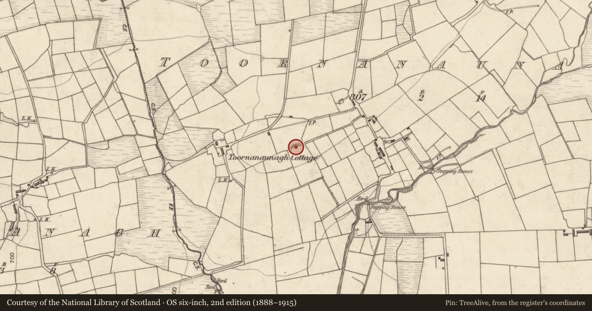 Ordnance Survey six-inch map, 2nd edition (1888–1915) covering the location of Ringfort - rath, Toornanaunagh, County Kerry, with a pin at the register's coordinates