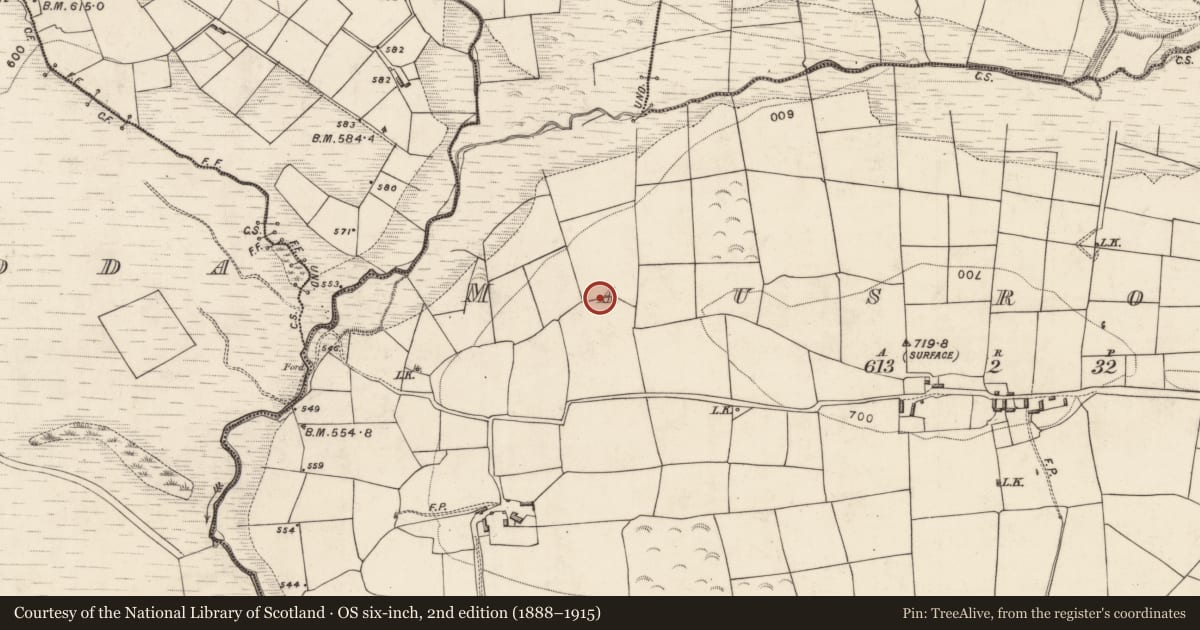 Ordnance Survey six-inch map, 2nd edition (1888–1915) covering the location of Ringfort - rath, Mausrower, County Kerry, with a pin at the register's coordinates