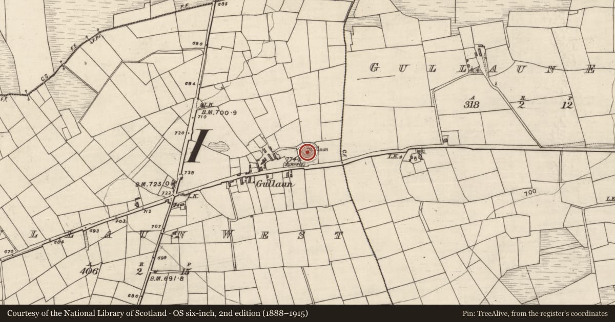 Ordnance Survey six-inch map, 2nd edition (1888–1915) covering the location of Standing stone, Gullaun West, County Kerry, with a pin at the register's coordinates