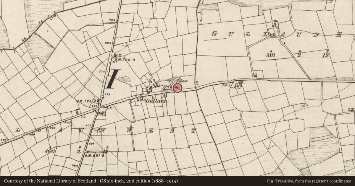 Ordnance Survey six-inch map, 2nd edition (1888–1915) covering the location of Children's burial ground, Gullaun West, County Kerry, with a pin at the register's coordinates