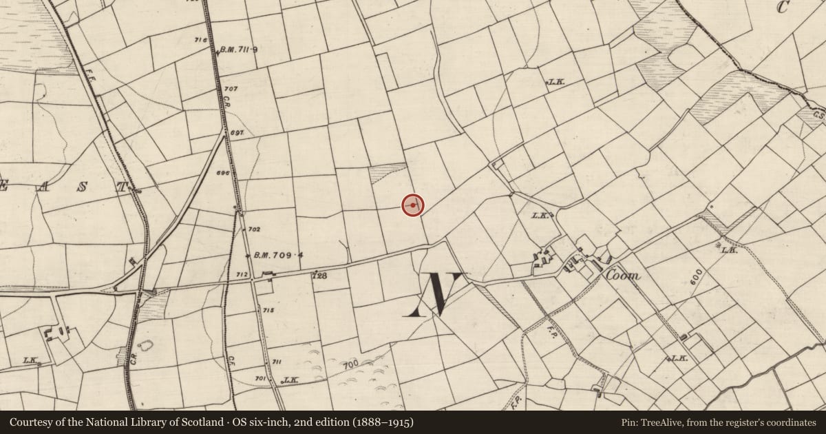 Ordnance Survey six-inch map, 2nd edition (1888–1915) covering the location of Barrow - ring-barrow, Coom, County Kerry, with a pin at the register's coordinates