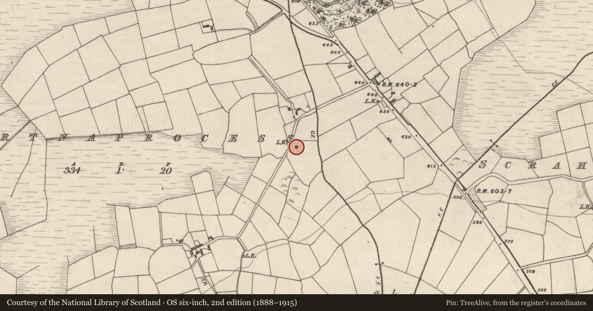 Ordnance Survey six-inch map, 2nd edition (1888–1915) covering the location of Ringfort - rath, Gortnaprocess, County Kerry, with a pin at the register's coordinates