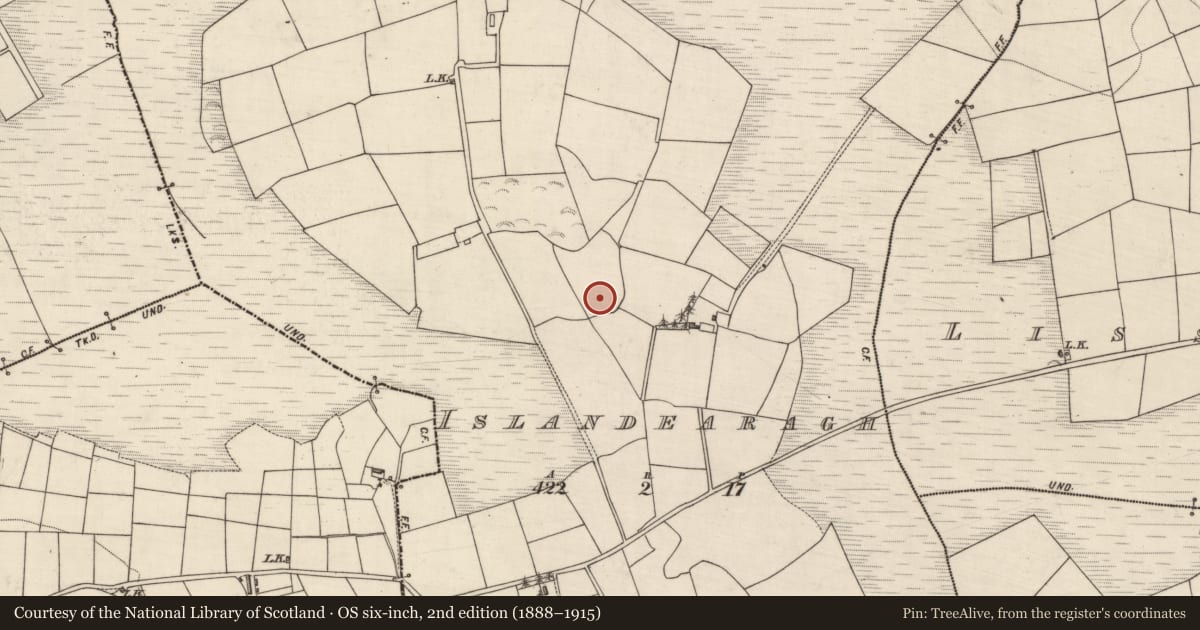 Ordnance Survey six-inch map, 2nd edition (1888–1915) covering the location of Ringfort - rath, Islandearagh, County Kerry, with a pin at the register's coordinates
