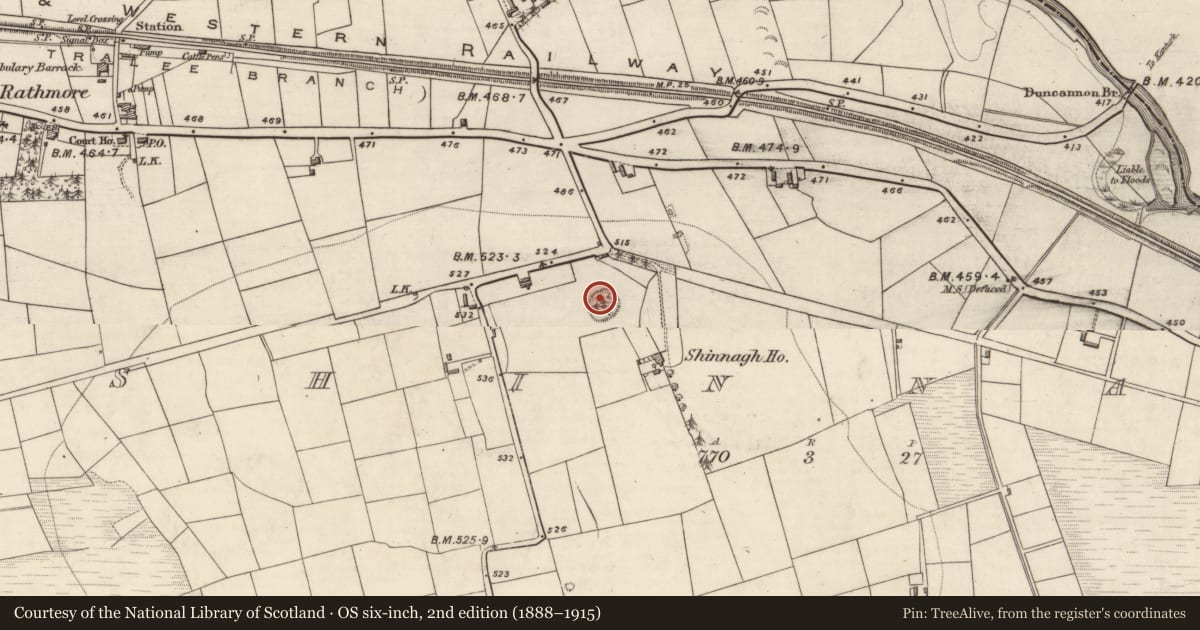 Ordnance Survey six-inch map, 2nd edition (1888–1915) covering the location of Ringfort - rath, Shinnagh, County Kerry, with a pin at the register's coordinates
