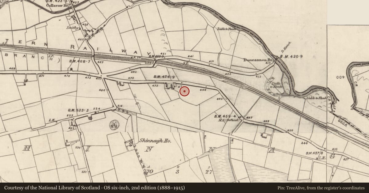 Ordnance Survey six-inch map, 2nd edition (1888–1915) covering the location of Ringfort - rath, Shinnagh, County Kerry, with a pin at the register's coordinates
