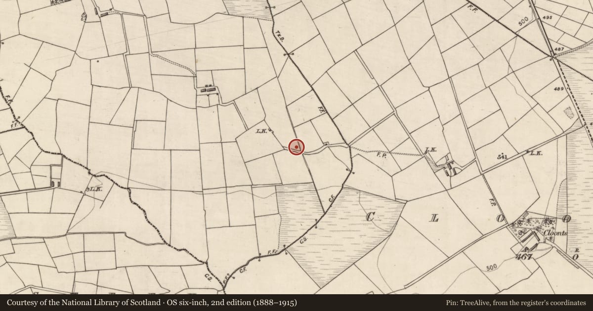 Ordnance Survey six-inch map, 2nd edition (1888–1915) covering the location of Burnt spread, Islandearagh, County Kerry, with a pin at the register's coordinates