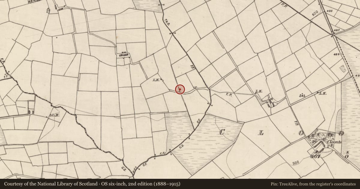 Ordnance Survey six-inch map, 2nd edition (1888–1915) covering the location of Burnt spread, Islandearagh, County Kerry, with a pin at the register's coordinates