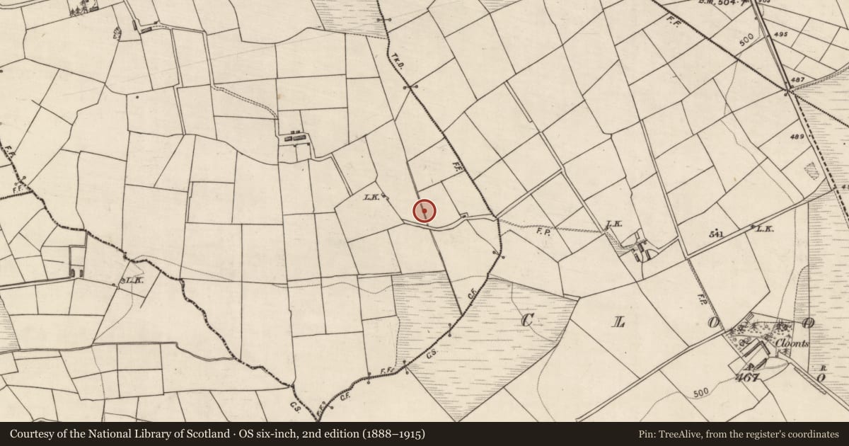 Ordnance Survey six-inch map, 2nd edition (1888–1915) covering the location of Burnt spread, Islandearagh, County Kerry, with a pin at the register's coordinates