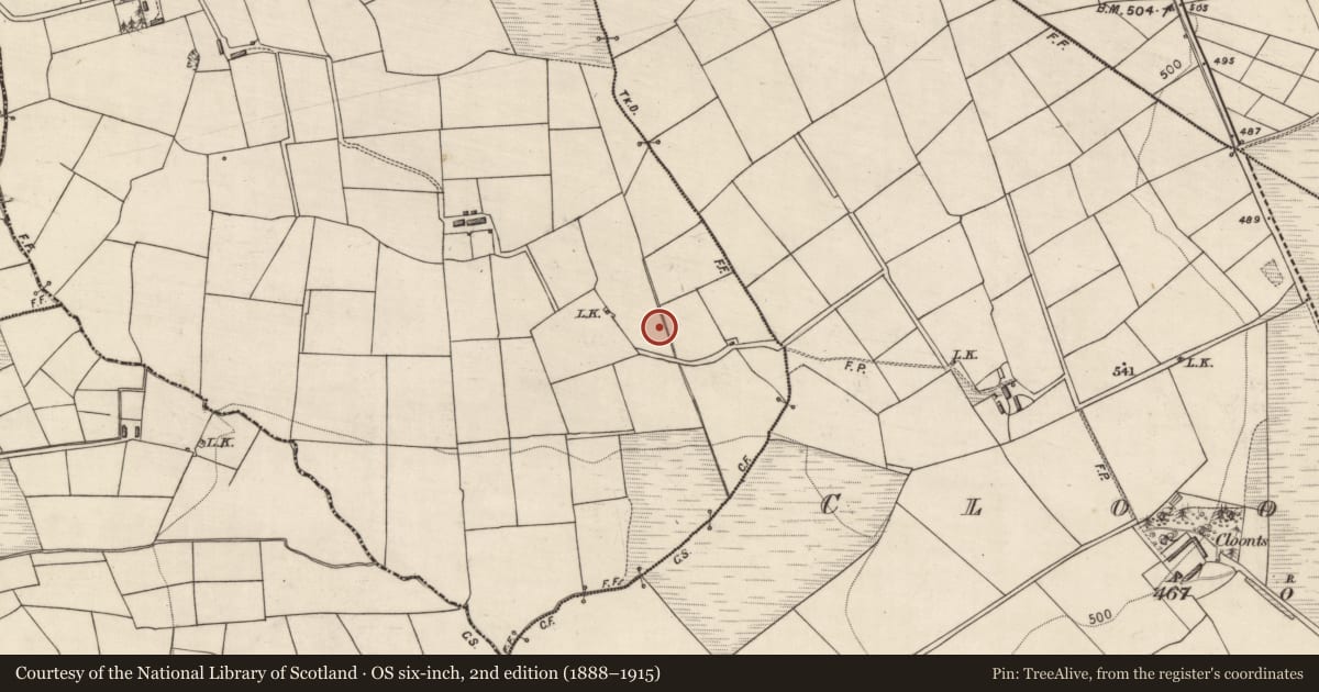 Ordnance Survey six-inch map, 2nd edition (1888–1915) covering the location of Burnt spread, Islandearagh, County Kerry, with a pin at the register's coordinates