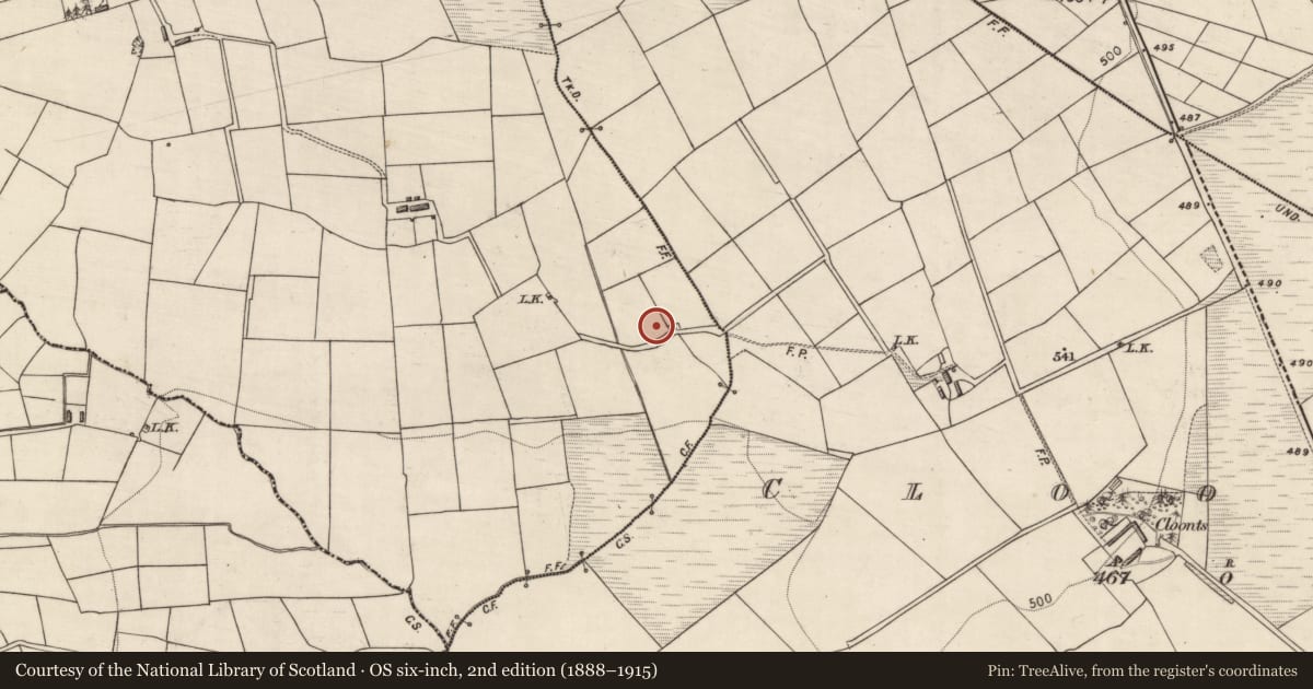 Ordnance Survey six-inch map, 2nd edition (1888–1915) covering the location of Burnt spread, Islandearagh, County Kerry, with a pin at the register's coordinates