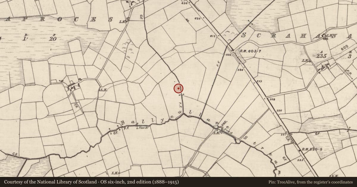 Ordnance Survey six-inch map, 2nd edition (1888–1915) covering the location of Burnt spread, Gortnaprocess, County Kerry, with a pin at the register's coordinates