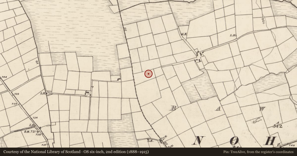 Ordnance Survey six-inch map, 2nd edition (1888–1915) covering the location of Cist, Bawnard, County Kerry, with a pin at the register's coordinates