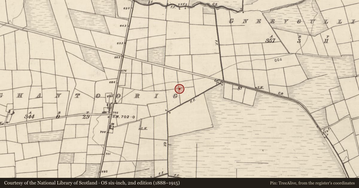 Ordnance Survey six-inch map, 2nd edition (1888–1915) covering the location of Barrow - ring-barrow, Maughantoorig, County Kerry, with a pin at the register's coordinates