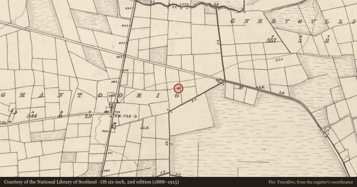 Ordnance Survey six-inch map, 2nd edition (1888–1915) covering the location of Children's burial ground, Maughantoorig, County Kerry, with a pin at the register's coordinates