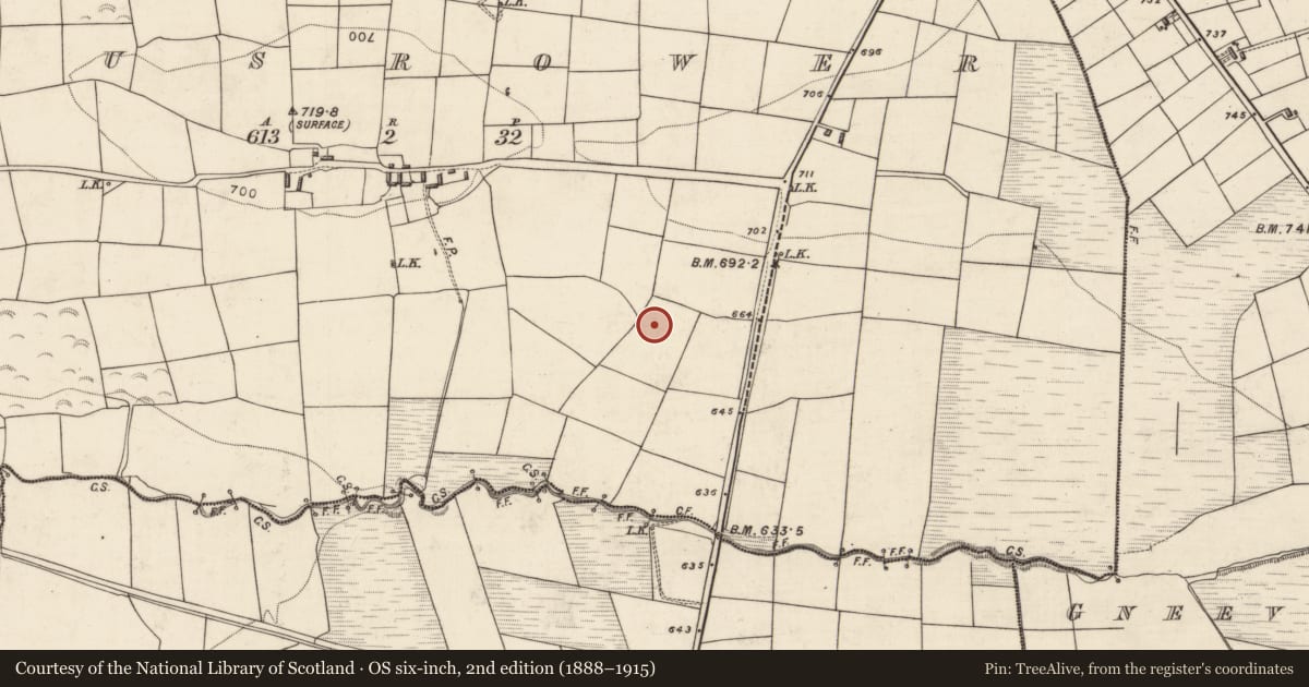 Ordnance Survey six-inch map, 2nd edition (1888–1915) covering the location of Fulacht fia, Mausrower, County Kerry, with a pin at the register's coordinates