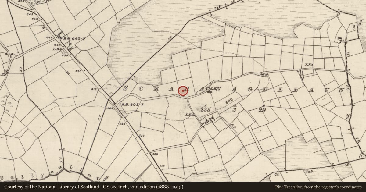 Ordnance Survey six-inch map, 2nd edition (1888–1915) covering the location of Stone row, Scrahanagullaun, County Kerry, with a pin at the register's coordinates