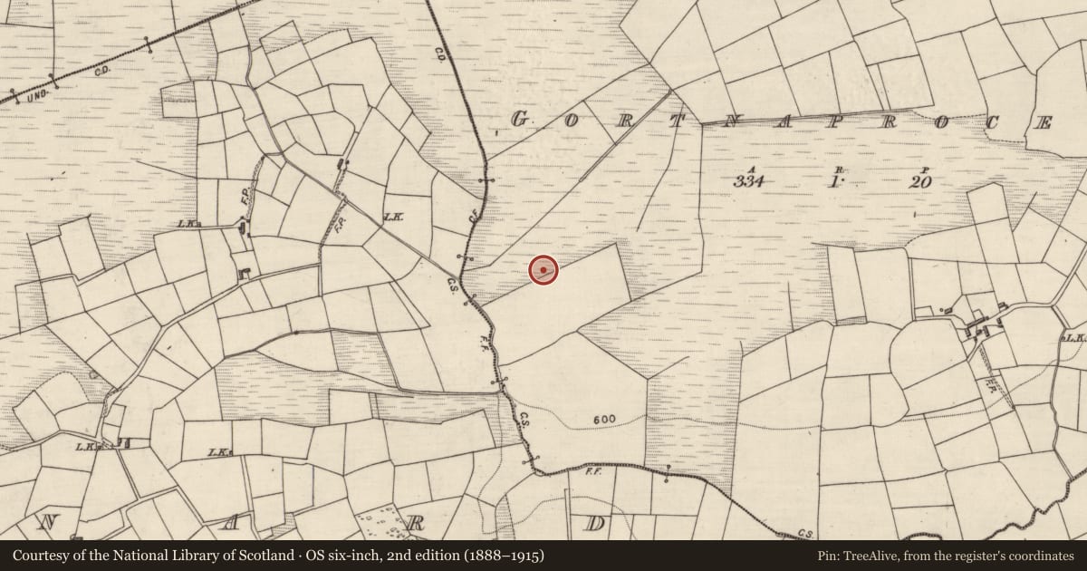 Ordnance Survey six-inch map, 2nd edition (1888–1915) covering the location of Mass-rock, Gortnaprocess, County Kerry, with a pin at the register's coordinates