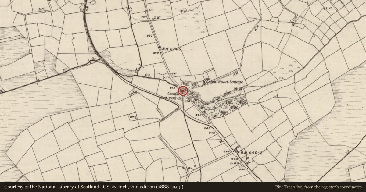 Ordnance Survey six-inch map, 2nd edition (1888–1915) covering the location of Bridge, Coom, Gortnaprocess, County Kerry, with a pin at the register's coordinates