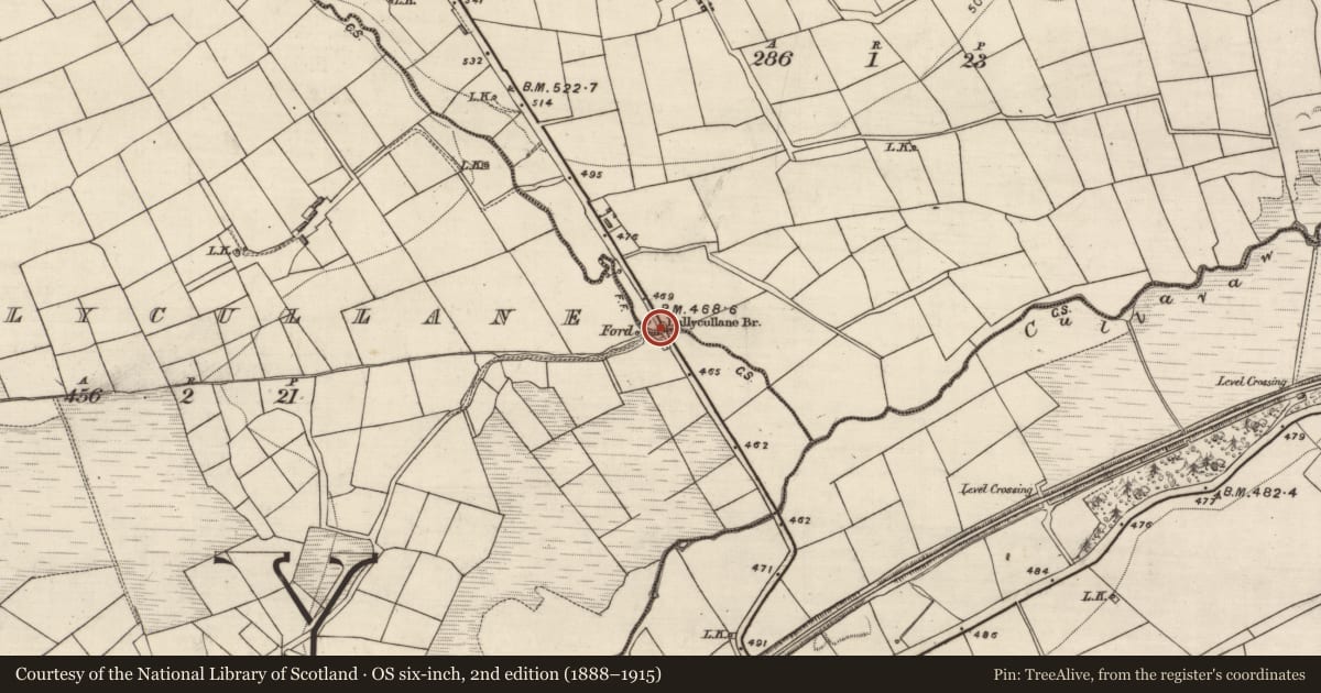 Ordnance Survey six-inch map, 2nd edition (1888–1915) covering the location of Bridge, Ballycullane, Glangristeen, County Kerry, with a pin at the register's coordinates