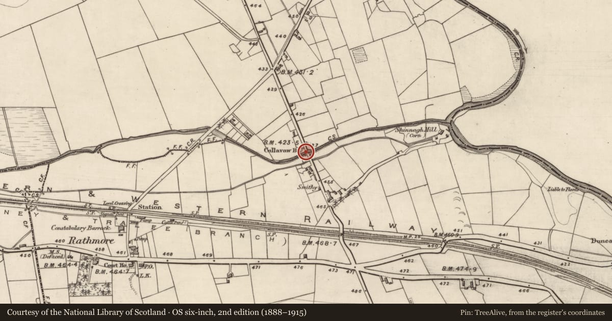 Ordnance Survey six-inch map, 2nd edition (1888–1915) covering the location of Bridge, Cloonts, Shinnagh, County Kerry, with a pin at the register's coordinates