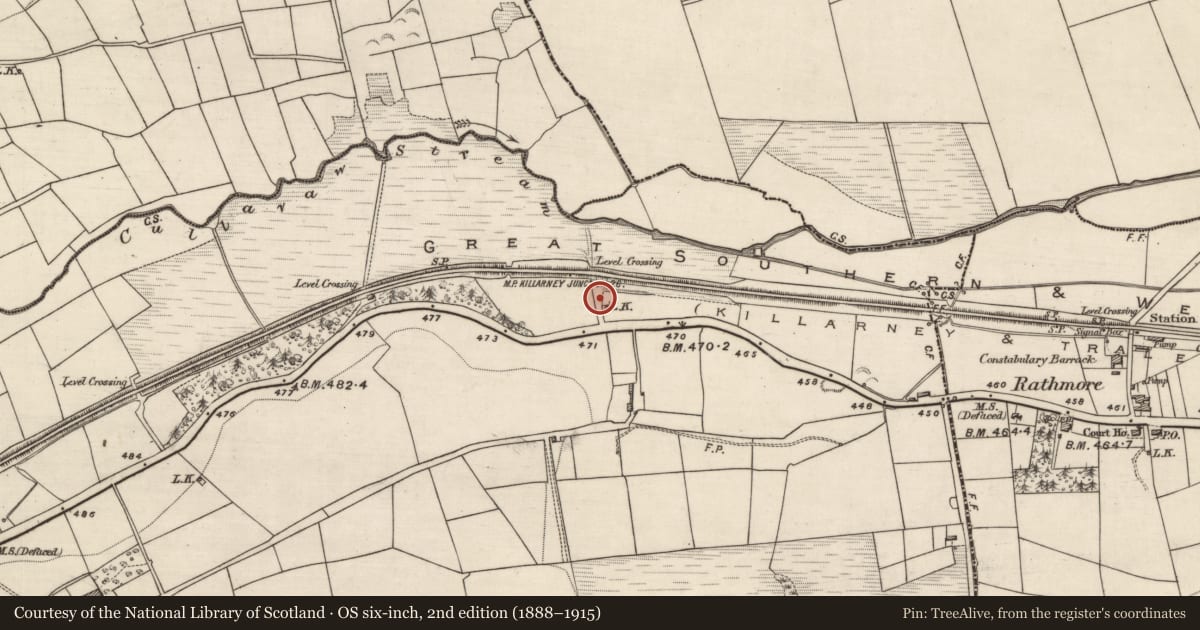 Ordnance Survey six-inch map, 2nd edition (1888–1915) covering the location of Kiln - lime, Rathmore, County Kerry, with a pin at the register's coordinates