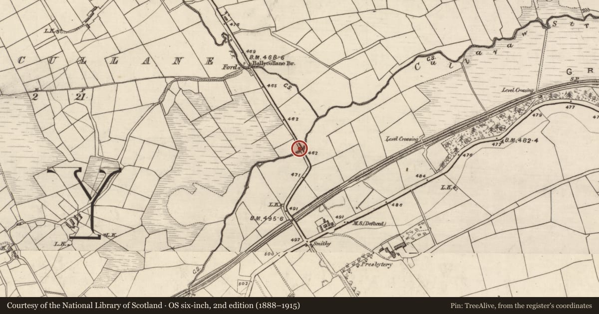 Ordnance Survey six-inch map, 2nd edition (1888–1915) covering the location of Bridge, Rathmore, Glangristeen, County Kerry, with a pin at the register's coordinates