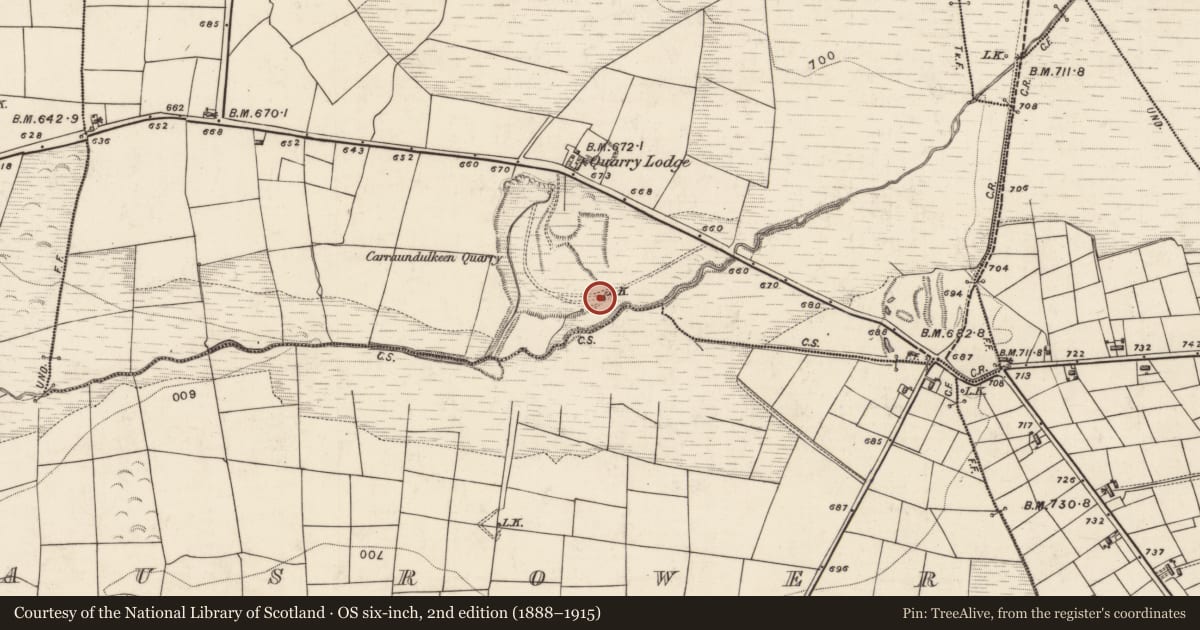 Ordnance Survey six-inch map, 2nd edition (1888–1915) covering the location of Kiln - lime, Tooreennamult, County Kerry, with a pin at the register's coordinates
