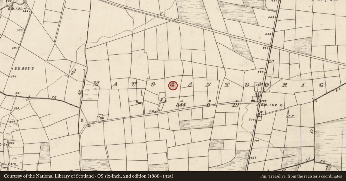 Ordnance Survey six-inch map, 2nd edition (1888–1915) covering the location of Fulacht fia, Maughantoorig, County Kerry, with a pin at the register's coordinates