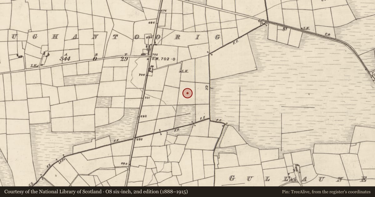 Ordnance Survey six-inch map, 2nd edition (1888–1915) covering the location of Fulacht fia, Maughantoorig, County Kerry, with a pin at the register's coordinates